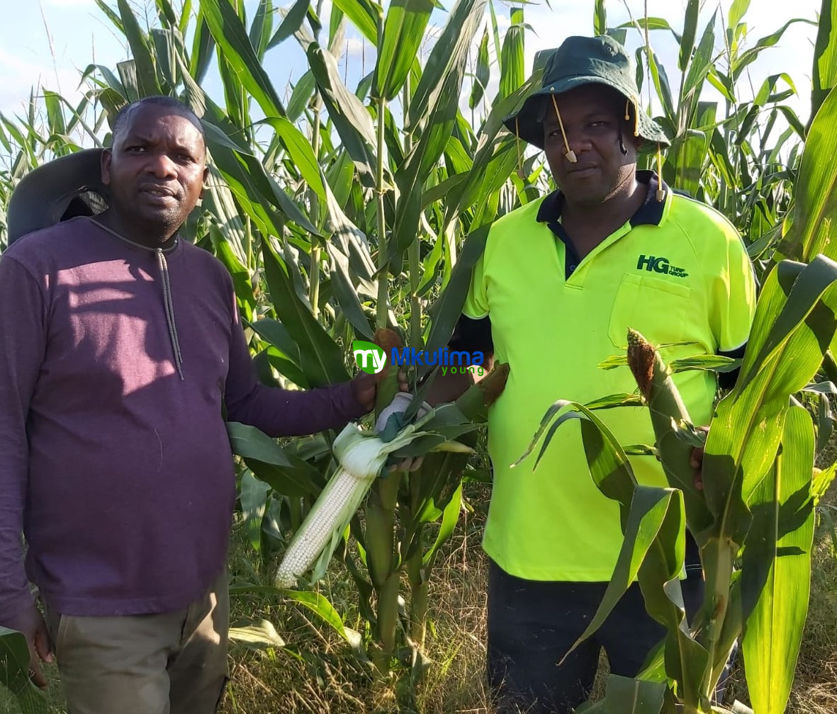 Mkulima Young | We Connect Farmers To Markets Without Brokers