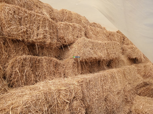 hay bales for sale brisbane